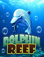 วิธีเล่น 981kiss555 สล็อต เกมสนุกสุดมันส์