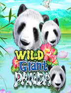 ทางเข้าเล่น sbobet สำหรับมือใหม่ที่ต้องการเริ่มต้น